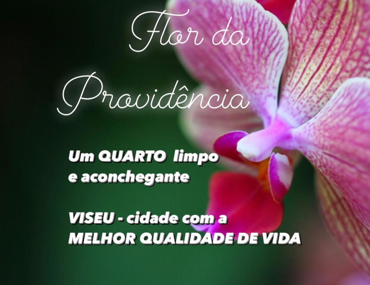 Ferienwohnung Flor Da Providencia Viseu Exterior foto